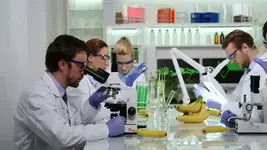 1685974181058.webp 1685974181058.webp