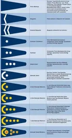 images (4).jpeg images (4).jpeg