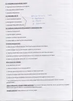 diyanet soruları 010.webp