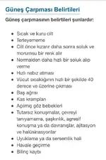 WhatsApp Image 2025-11-27 at 17.40.07.webp