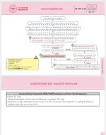 WhatsApp Image 2025-11-27 at 22.46.27.webp