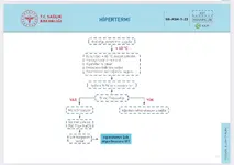 WhatsApp Image 2025-11-27 at 22.52.42.webp