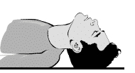 1786819500_3308_5c.png
