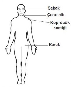 1786854000_5889_soru7-1-245x300.jpg