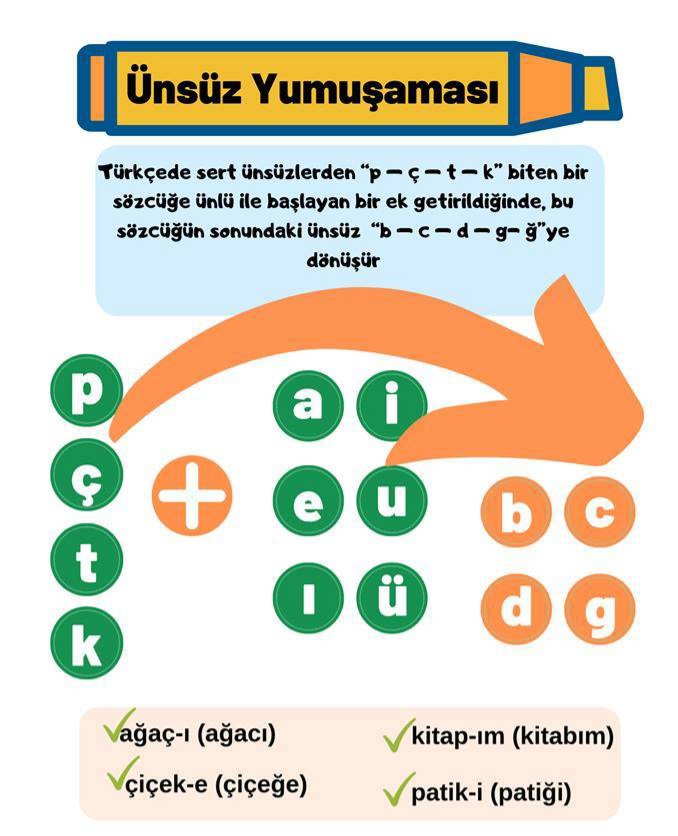 Hap Bilgi Görseli