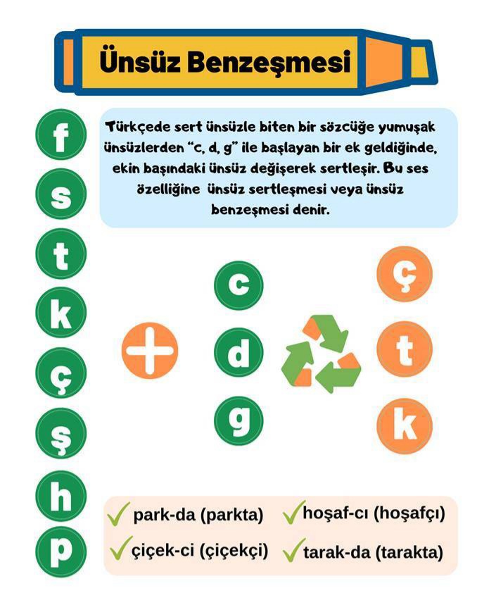 Hap Bilgi Görseli