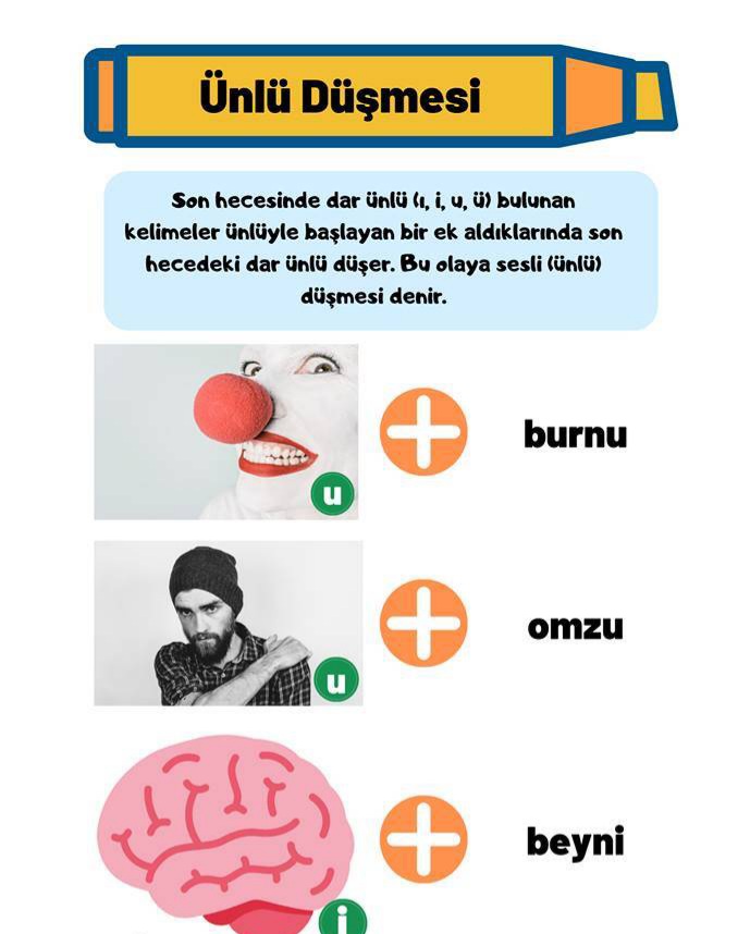 Hap Bilgi Görseli