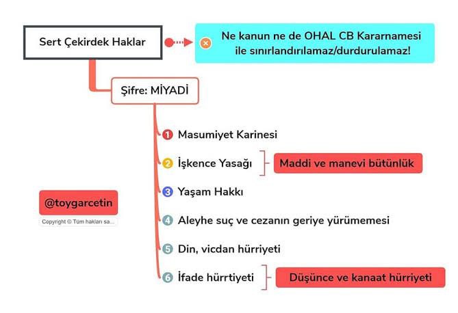 Gavi, Barbacoa, Picpoul.JPG