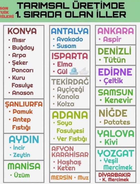 Sözlü Mülakat İle Alakalı Çıkabilecek Sorular