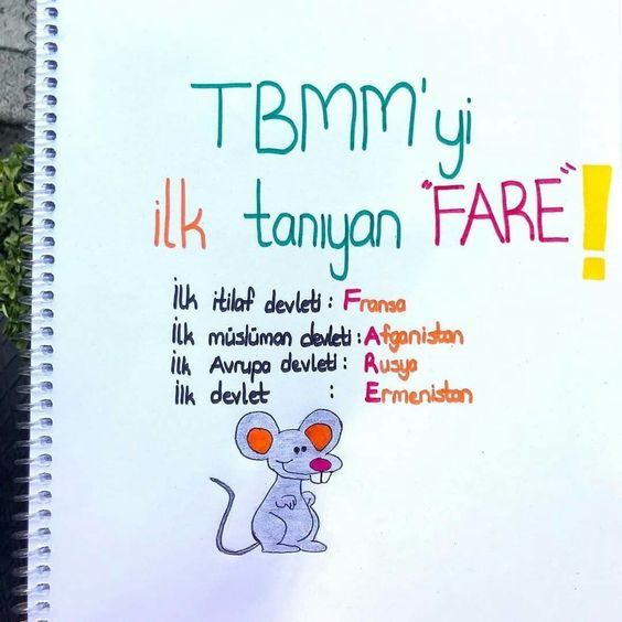 Hap Bilgi Görseli