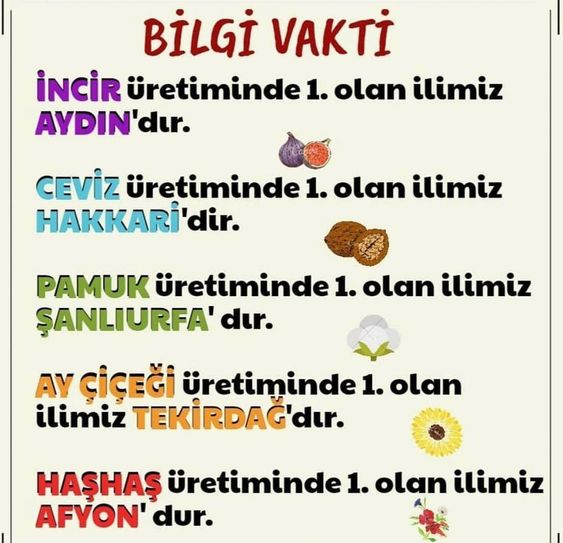 Sözlü Mülakat İle Alakalı Çıkabilecek Sorular