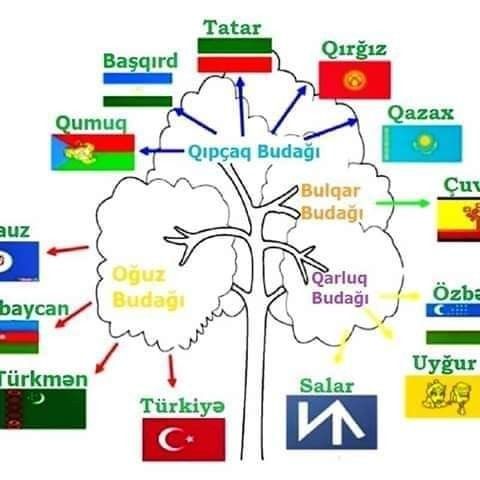 Sözlü Mülakat İle Alakalı Çıkabilecek Sorular