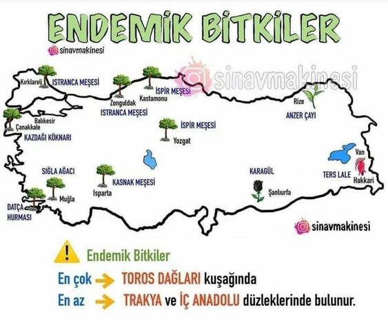 Sözlü Mülakat İle Alakalı Çıkabilecek Sorular
