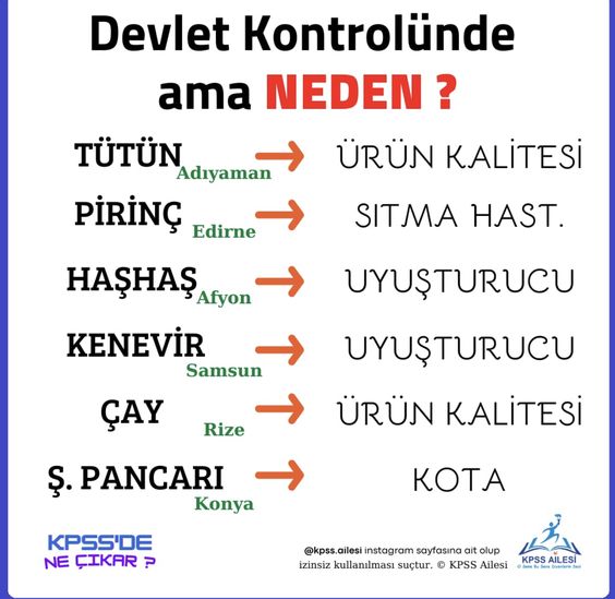Sözlü Mülakat İle Alakalı Çıkabilecek Sorular