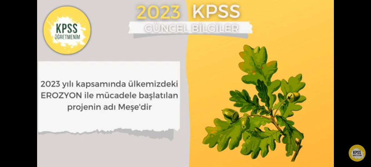 Sözlü Mülakat İle Alakalı Çıkabilecek Sorular