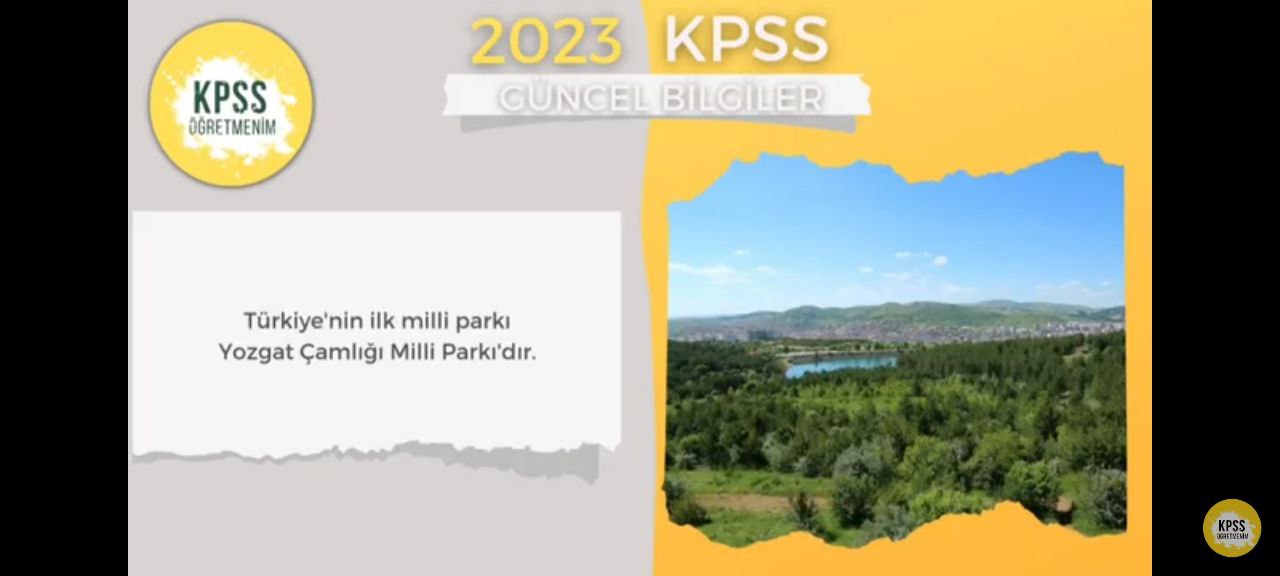 Sözlü Mülakat İle Alakalı Çıkabilecek Sorular