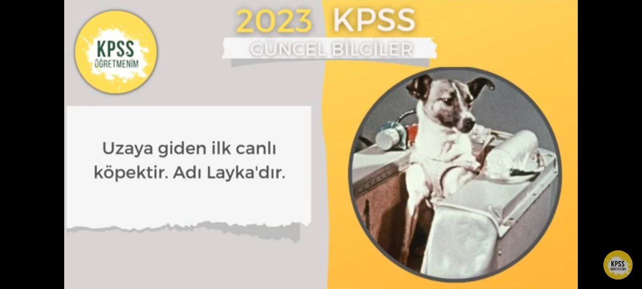 Sözlü Mülakat İle Alakalı Çıkabilecek Sorular