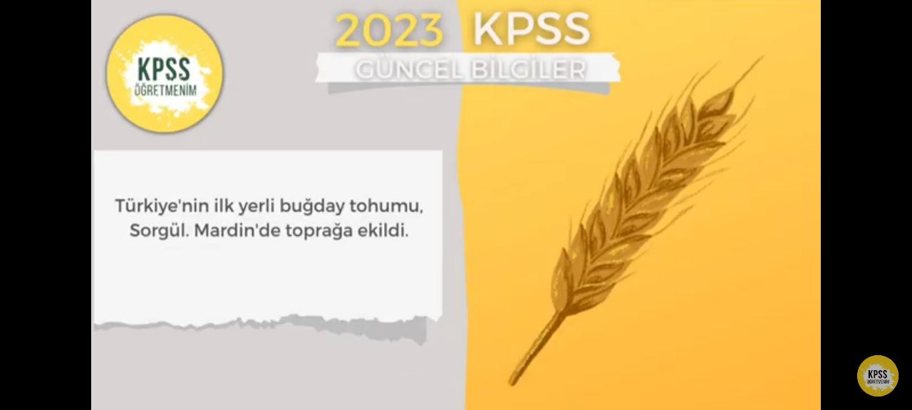 Sözlü Mülakat İle Alakalı Çıkabilecek Sorular