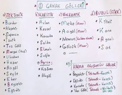 Gavi, Barbacoa, Picpoul.JPG