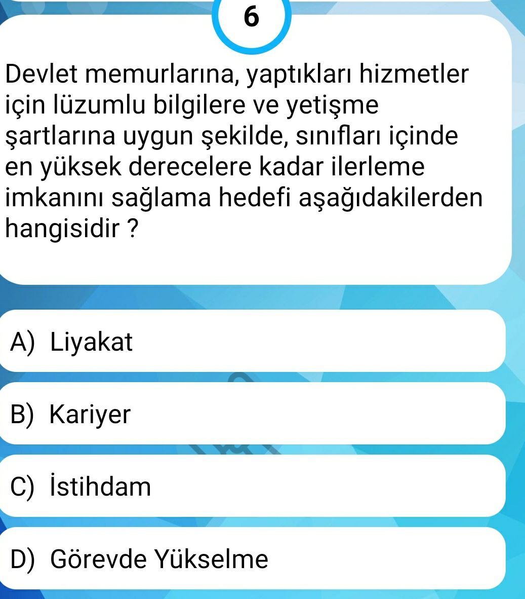 Soru Görseli