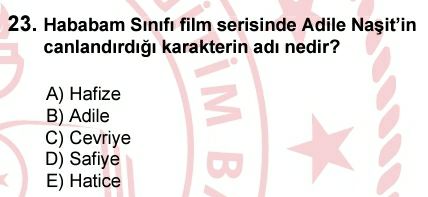 Soru Görseli