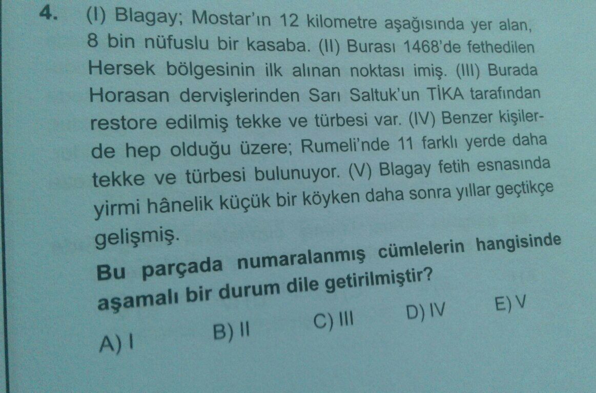 Soru Görseli