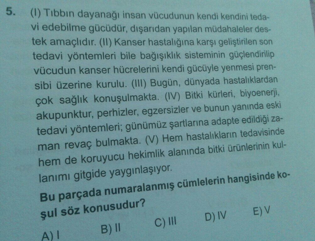 Soru Görseli