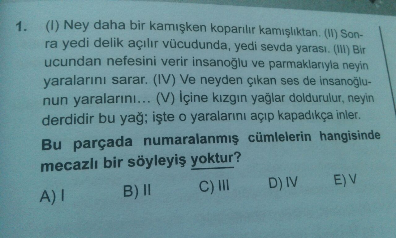 Soru Görseli