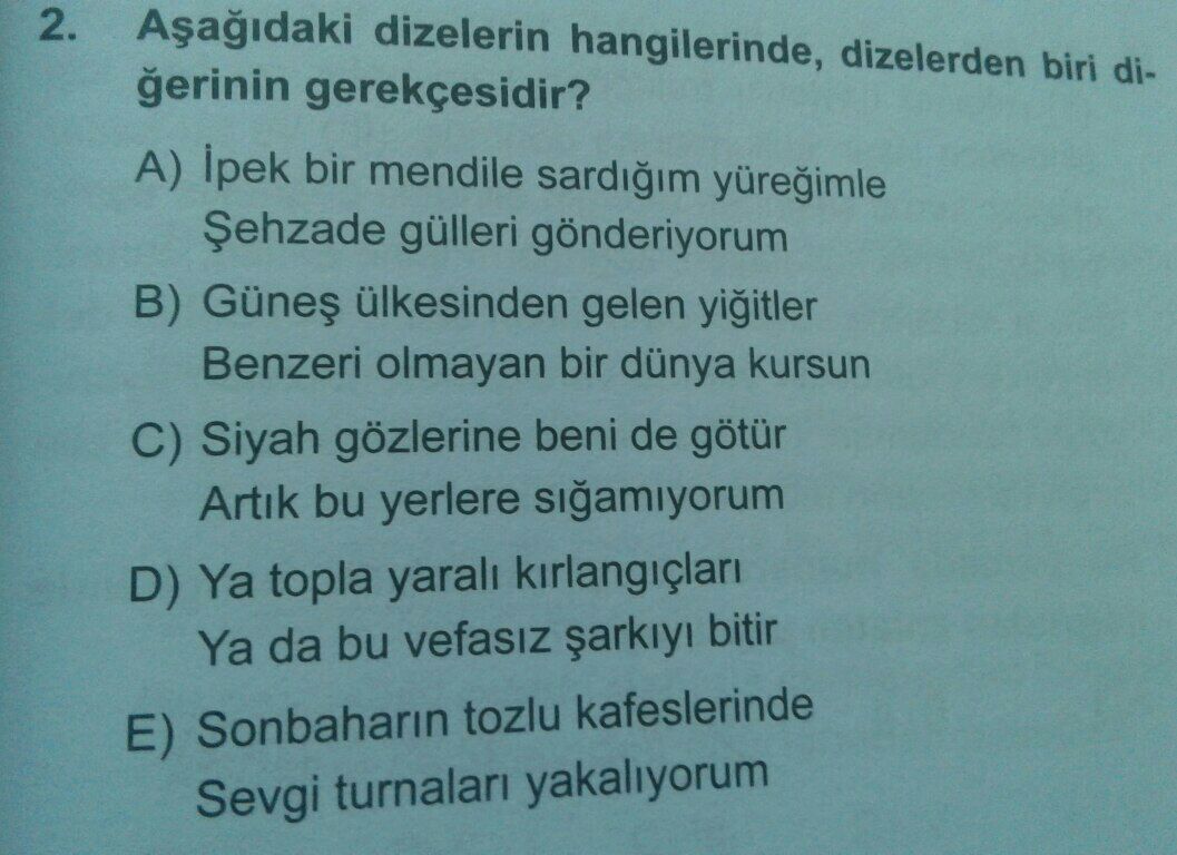 Soru Görseli
