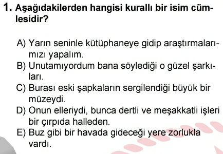 Soru Görseli