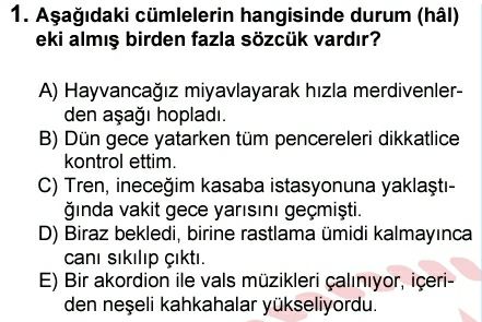 Soru Görseli