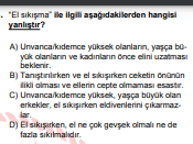 Soru Görseli