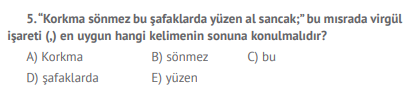 Soru Görseli