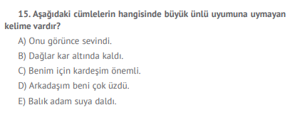 Soru Görseli