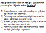 Soru Görseli