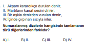 Soru Görseli