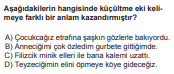 Soru Görseli