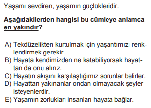 Soru Görseli