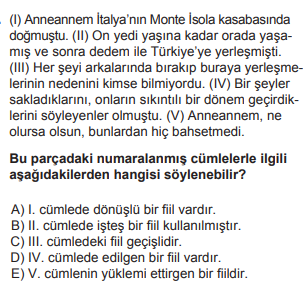 Soru Görseli
