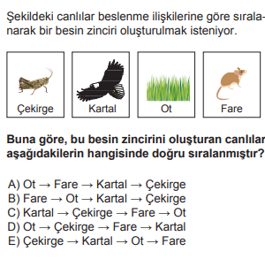 Soru Görseli