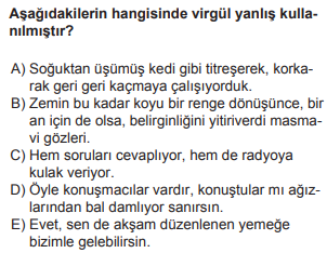 Soru Görseli