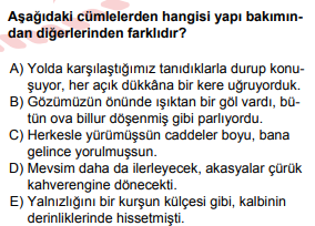 Soru Görseli