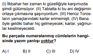 Soru Görseli