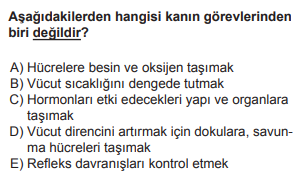 Soru Görseli