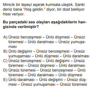 Soru Görseli