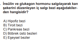 Soru Görseli