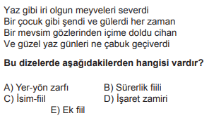 Soru Görseli