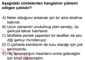Soru Görseli