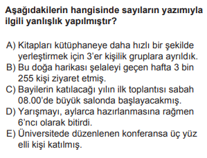 Soru Görseli