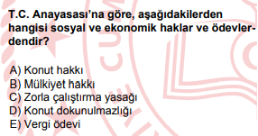 Soru Görseli